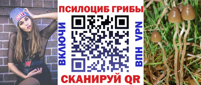 Галлюциногенные грибы MAGIC MUSHROOMS  купить  сайты  Староминская 